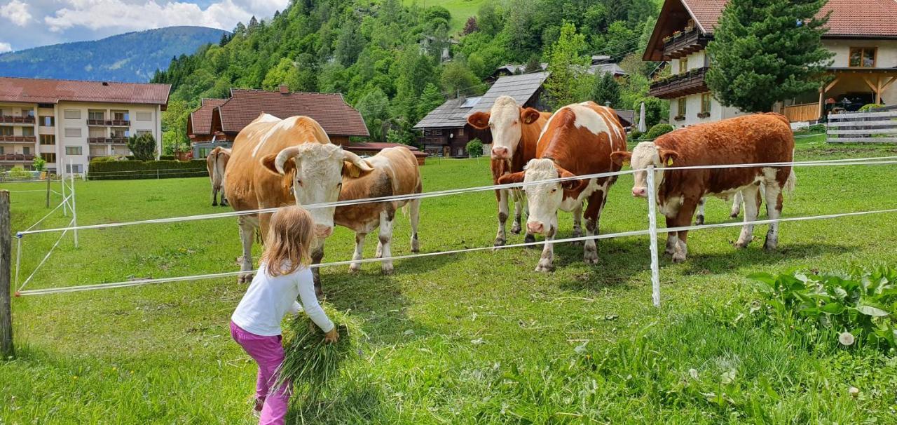 Ferienhaus Michael Bad Kleinkirchheim Eksteriør bilde
